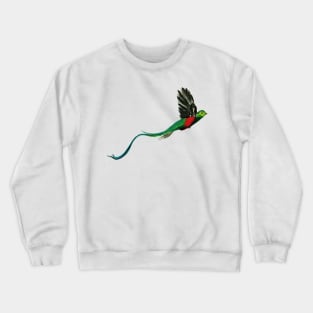 Costa Rica Quetzal Watercolor Crewneck Sweatshirt